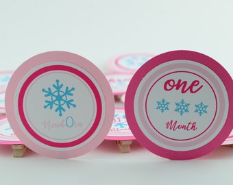 Winter Onederland 12 Months Photo Banner, First Year Photo Banner, First Year, Snowflake Banner, Light Pink, Aqua Blue and Hot Pink, c-1345