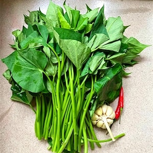 May include: A bunch of fresh green sweet potato leaves with long, slender stems, accompanied by a single bulb of white garlic and one bright red chili pepper, arranged together as a collection of raw culinary ingredients for cooking.