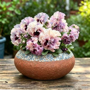 May include: A cluster of ruffled, light purple and cream-colored pansy flowers with dark violet centers, planted in a round, terracotta-colored ceramic pot featuring a textured, speckled blue and white glaze around the upper rim.