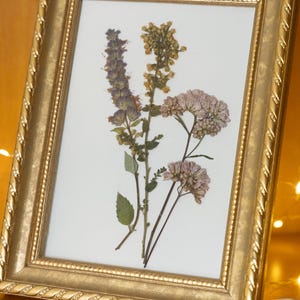 May include: A framed botanical art piece featuring dried flowers. The gold-colored frame surrounds a white background with pressed flowers in shades of purple, yellow, and pink. The frame has a decorative rope-like border.