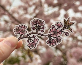 Cherry Blossom Sticker - Sakura Flower Decal - Spring Nature Art - Floral Laptop Water Bottle Waterproof Vinyl Sticker - PNW Botanical Art