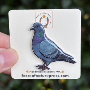 May include: A pigeon pin featuring a blue-grey bird with iridescent green and purple neck feathers. The pin is attached to a square backing card with the text Force of Nature Press, a logo, and the text Handmade in Seattle, WA forceofnaturepress.com.