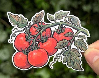 Tomato Sticker - Tomatoes on the Vine - Garden Vegetable Sticker - Cottagecore Decal - Botanical Art - Gardener Gift - Vinyl Sticker