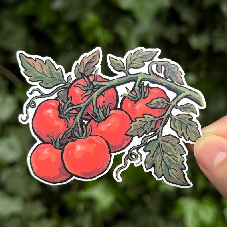May include: A die-cut sticker featuring a cluster of five bright red tomatoes attached to a green vine with detailed leaves. The illustration uses bold outlines and shading to define the round shapes of the tomatoes and the textured foliage.