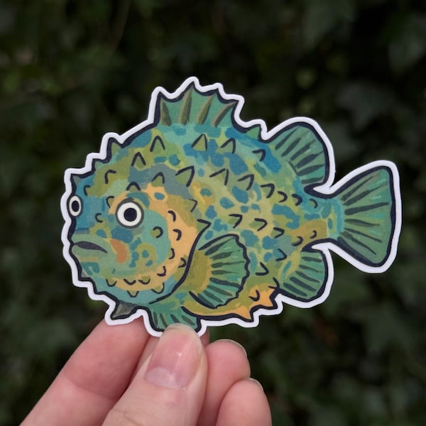Pacific Spiny Lumpsucker sticker - viskunst - mariene biologie cadeau - waterdicht vinyl decal - laptopsticker - 3 inch