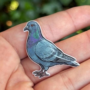 May include: A small, flat, die-cut sticker featuring a detailed illustration of a pigeon. The bird is depicted in profile, showcasing shades of blue-gray feathers with iridescent purple and green accents around the neck and a dark, pointed beak.