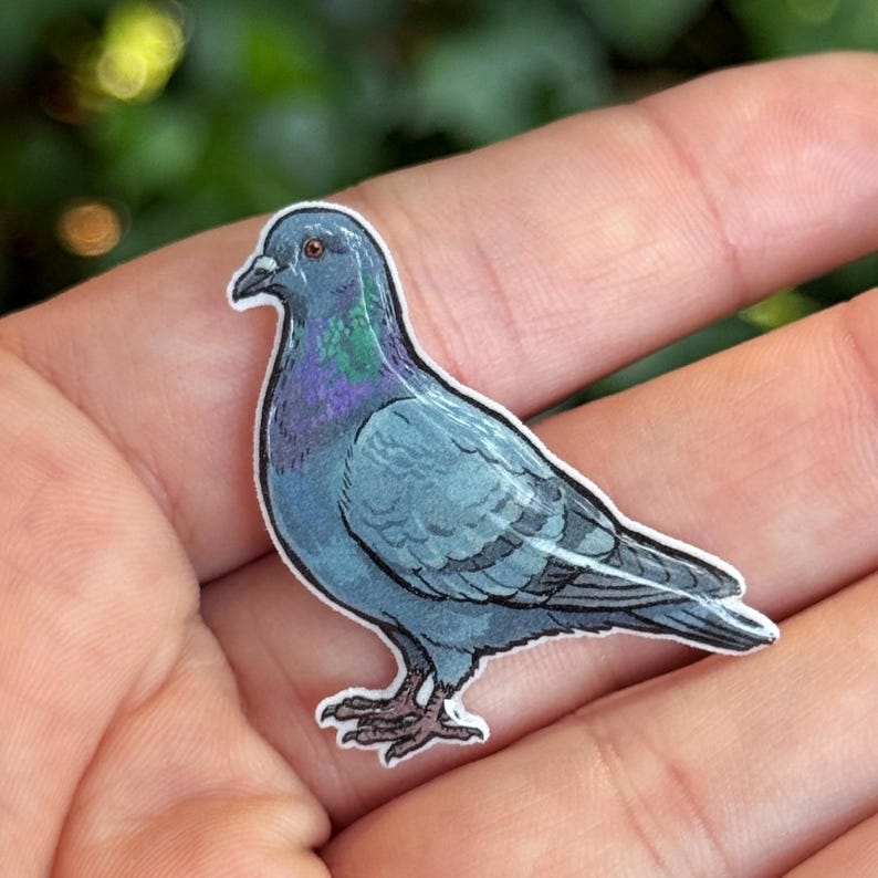 May include: A small, flat, die-cut sticker featuring a detailed illustration of a pigeon. The bird is depicted in profile, showcasing shades of blue-gray feathers with iridescent purple and green accents around the neck and a dark, pointed beak.