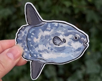 Oceaan zonnevis sticker - mola mola - lelijke schattige vis sticker - mariene biologie cadeau - grote zon vis - grappige oceaan dier laptop sticker