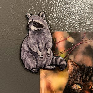 Puede incluir: Un im&aacute;n con forma de mapache que presenta una ilustraci&oacute;n detallada de un mapache gris y negro con su caracter&iacute;stica m&aacute;scara facial, de pie con la cola curvada, adherido a una superficie gris junto a una fotograf&iacute;a de un gato.