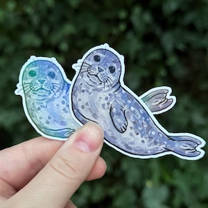 May include: Two stickers featuring illustrations of seals. One seal is blue and green, the other is blue and gray. The seals have smiling faces and are hand-drawn. The stickers are held by a person's hand against a blurred green background.