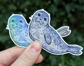 Harbor Seal Sticker - Cute Spotted Seal Vinyl Decal - PNW Marine Life Art - Matte or Holographic Finish - 3 Inch
