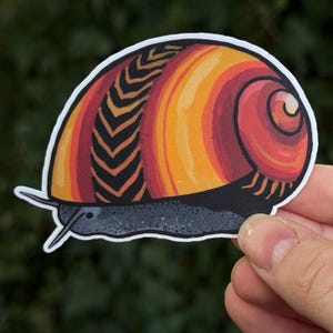 May include: A colorful snail sticker with a vibrant shell design. The shell features a gradient of orange, red, and yellow hues, with a black chevron pattern. The snail's body is black and gray, with two antennae. The sticker is held against a blurred green background.