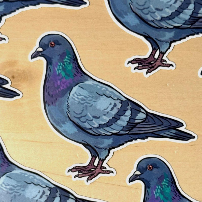 May include: A collection of die-cut stickers featuring illustrations of pigeons. Each pigeon is depicted with blue-gray feathers, a dark beak, and iridescent green and purple neck plumage. The stickers have a white border and a flat graphic style.