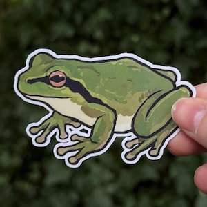 May include: A sticker featuring a detailed illustration of a green frog with a white outline. The frog has a light green belly, dark green back, and pink eyes. The sticker is held against a blurred green background.