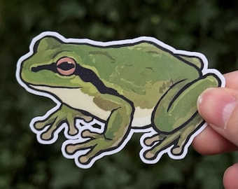 Pacific Tree Frog Sticker - Pacific Chorus Frog - PNW Native Amphibian Decal - Washington State Amphibian Art