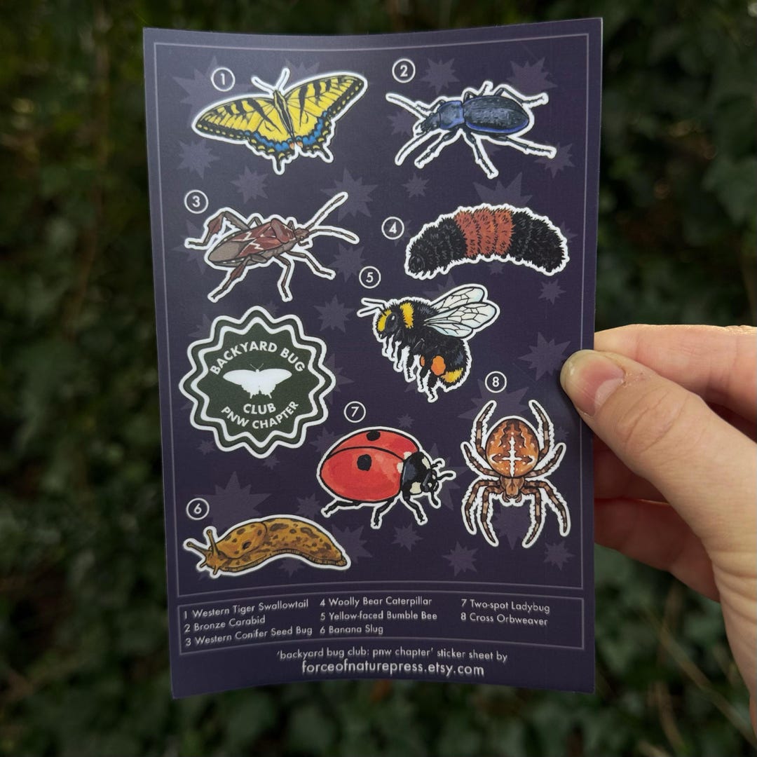 Bug Guard Sticker Backyard Bug Club Sticker Sheet - PNW Bugs - Insect Planner Stickers ...