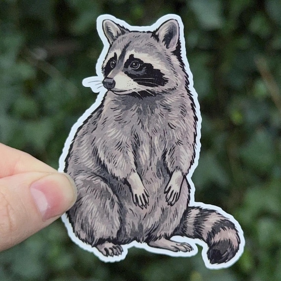 Raccoon Sticker - Cute Raccoon Art - Trash Panda Decal - Wildlife Sticker - Goblincore Sticker - Nature Lover Gift - Waterproof Vinyl