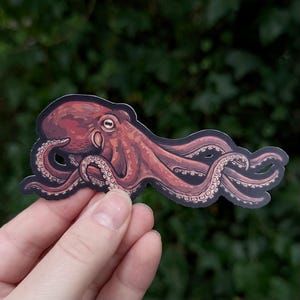 May include: A sticker featuring a detailed illustration of an octopus. The octopus is primarily reddish-brown with a dark outline and white suckers on its tentacles. The sticker is held against a blurred green background.