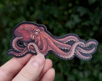 Giant Pacific Octopus Sticker - Scientific Illustration - Waterproof Octopus Decal - Marine Bio Art - 4 Inch Vinyl