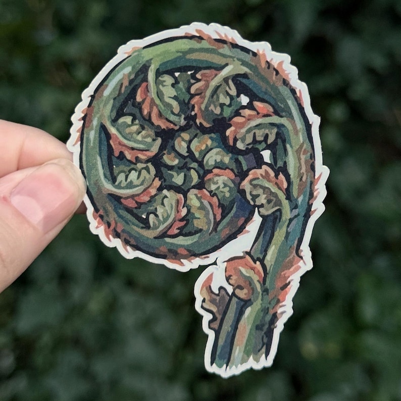 Może przedstawiać: Naklejka przedstawiająca szczeg&oacute;łową ilustrację gł&oacute;wki paproci. Grafika przedstawia spiralę zielonych i czerwonobrązowych liści, z białą obw&oacute;dką. Naklejka jest trzymana na rozmytym zielonym tle.