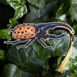 K&ouml;nnte beinhalten: Detaillierte Illustration eines K&auml;fers mit einem braun-schwarz gefleckten Panzer, schwarzem Kopf und Beinen sowie einem gro&szlig;en Horn. Eine goldene Quaste h&auml;ngt am Horn des K&auml;fers. Der K&auml;fer ist vor einem Hintergrund aus gr&uuml;nen Bl&auml;ttern platziert.