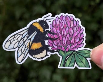 Western Bumble Bee on Clover Sticker - Pollinator Garden Vinyl Decal - PNW Nature - Spring Gift - Botanical Cottagecore Art
