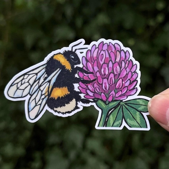 Western Bumble Bee on Clover Sticker - Pollinator Garden Vinyl Decal - PNW Nature - Spring Gift - Botanical Cottagecore Art