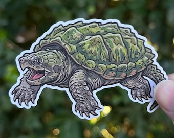 Alligator Snapping Turtle Sticker - Reptile Art - Freshwater Turtle Vinyl Decal - Herpetology Gift - Wildlife Illustration Sticker