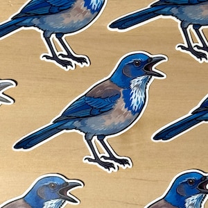 May include: A collection of die-cut stickers featuring a blue and brown bird with a white throat and chest. Each bird is depicted in profile with its beak open, showcasing detailed blue plumage on the head and wings, and dark grey legs.