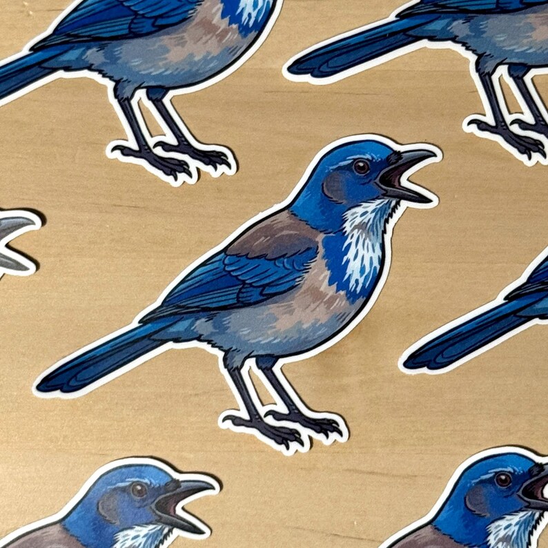 May include: A collection of die-cut stickers featuring a blue and brown bird with a white throat and chest. Each bird is depicted in profile with its beak open, showcasing detailed blue plumage on the head and wings, and dark grey legs.