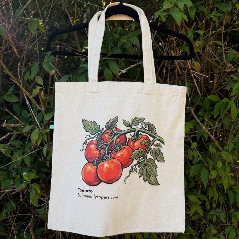 May include: A cream-colored canvas tote bag featuring a graphic illustration of a cluster of red tomatoes on a green vine. The text "Tomato" and "Solanum lycopersicum" is printed in black below the illustration. The bag has two shoulder straps.