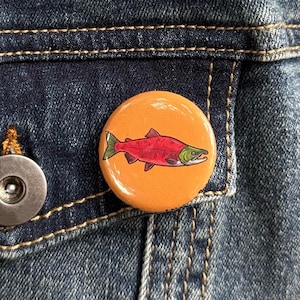 Sockeye Salmon Button - 1.25" Badge - PNW Wildlife Art - Fisherman Gift - Marine Biology - Spawning Phase