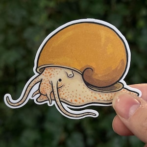 May include: A sticker featuring a whimsical illustration of a snail. The snail has a large, golden-brown shell and a cream-colored body speckled with orange spots. Its long, curved antennae and a smiling face add to its charm.