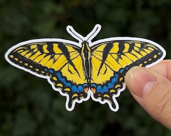 Western Tiger Swallowtail Sticker - Papilio rutulus - Butterfly Vinyl Decal - PNW Insect Art - Gardener Gift - Cottagecore Laptop Sticker