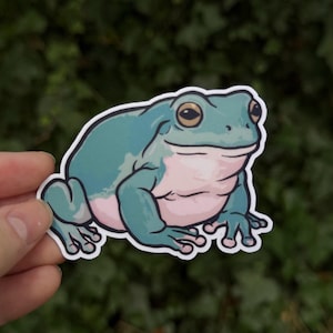 White's Tree Frog Sticker - Dumpy Tree Frog Art - Söt Amfibiedekal - Herpetologigåva - Vattentät Vinyl - 3 tum
