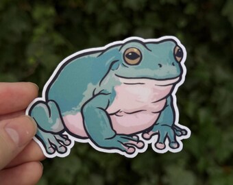Pegatina de rana arbórea de White - Arte de rana arbórea rechoncha - Calcomanía de anfibio adorable - Regalo de herpetología - Vinilo impermeable - 3 pulgadas