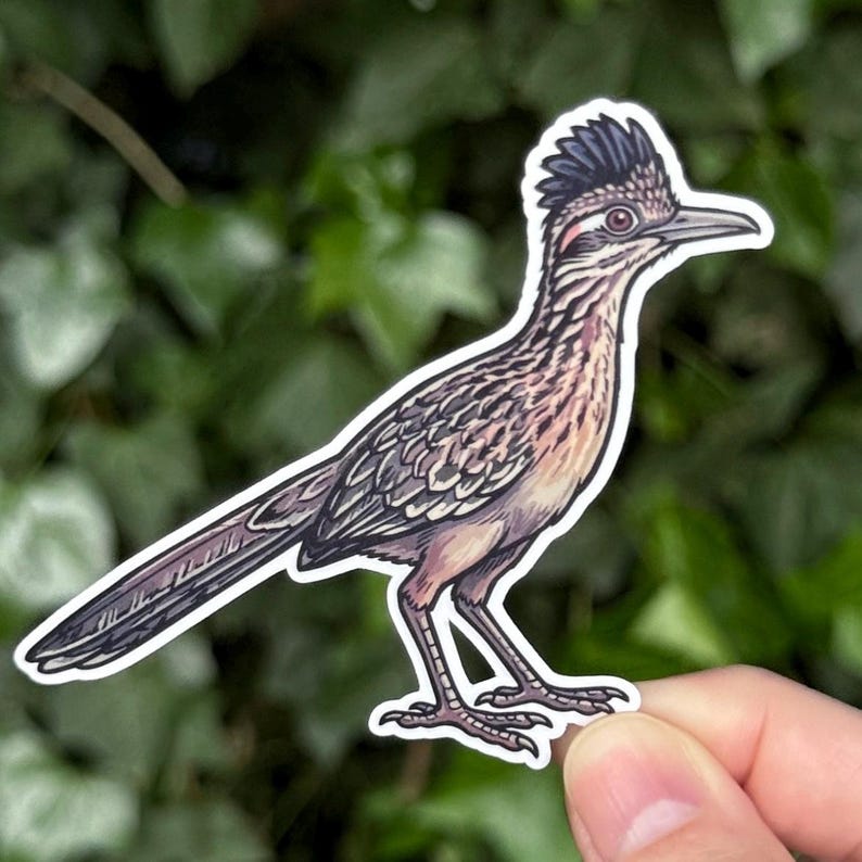 May include: A die-cut sticker featuring a detailed illustration of a roadrunner bird. The bird has a dark crest, a long pointed beak, and mottled brown, tan, and white feathers. It is depicted in profile with a long tail extending to the left.