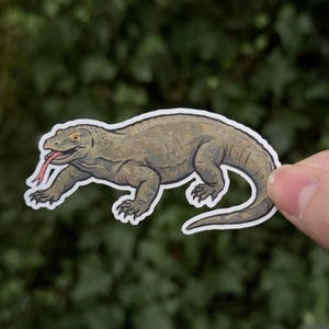 May include: A Komodo dragon sticker with a white border. The illustration features a brown and gray reptile with a long, pink tongue extended. The sticker is held against a blurred green background.