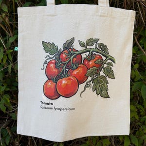 May include: A cream-colored canvas tote bag featuring a botanical illustration of a cluster of red tomatoes on a green vine. The text "Tomato" and "Solanum lycopersicum" is printed in black ink below the illustration on the front of the bag.
