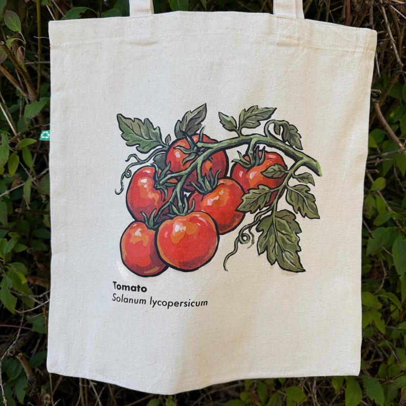 May include: A cream-colored canvas tote bag featuring a botanical illustration of a cluster of red tomatoes on a green vine. The text "Tomato" and "Solanum lycopersicum" is printed in black ink below the illustration on the front of the bag.