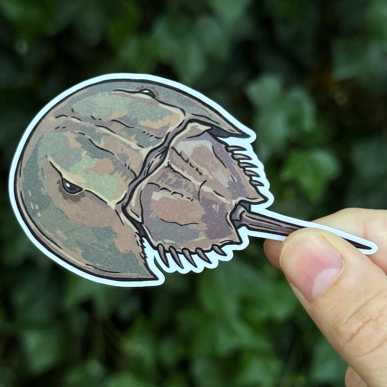 May include: A die-cut sticker featuring a detailed illustration of a horseshoe crab. The creature is rendered in shades of muted brown, tan, and olive green with a dark outline. It has a rounded, segmented shell and a long, pointed tail.