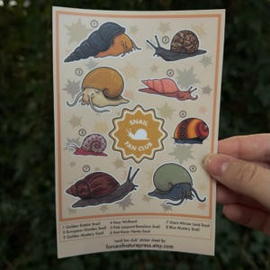 May include: A sticker sheet featuring eight illustrated snails, each with a unique shell pattern and color. The sheet includes a "Snail Fan Club" logo and the text "forceofnaturepress.etsy.com".