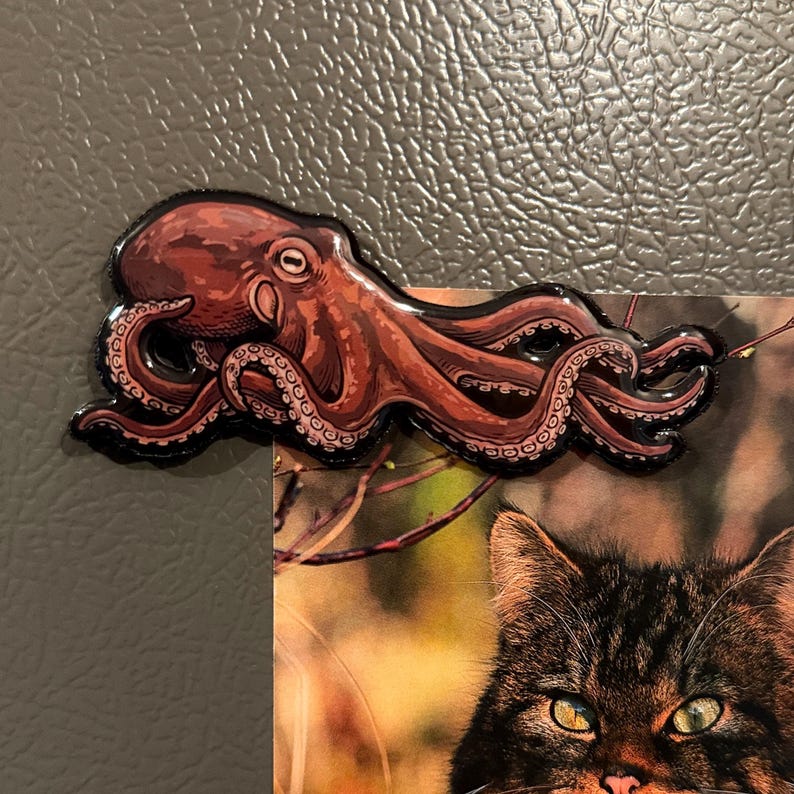 May include: A brown octopus magnet with a glossy finish, featuring detailed tentacles and a prominent eye, positioned above a rectangular photograph of a cat. The octopus is rendered in shades of brown and tan with a dark outline.