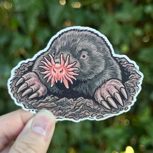 Star-nosed Mole Sticker - Weird Animal Art - Cute Mole Vinyl Decal - Biology Gift - Wildlife Illustration Sticker