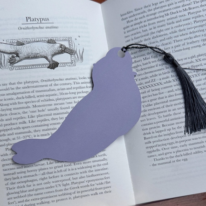 Pode incluir: Um marcador de livros em forma de ornitorrinco, na cor lavanda, com uma borla preta. O marcador de livros est&aacute; colocado num livro com texto sobre ornitorrincos. Um acess&oacute;rio &uacute;nico para os amantes de livros.