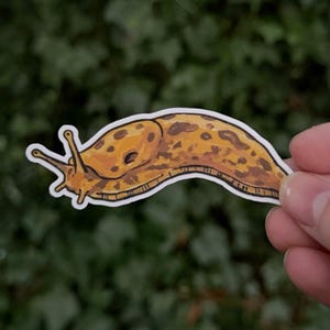 May include: A sticker featuring a detailed illustration of a slug. The slug is primarily yellow with brown spots and a black outline. The sticker is held against a blurred green background.