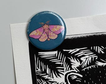 Imán de polilla rosada del arce - Imán redondo de 3,18 cm - Dryocampa rubicunda - Insecto adorable - Estética cottagecore - Polilla rosa amarilla - Regalo de entomología