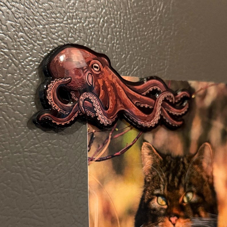 May include: A decorative refrigerator magnet shaped like an octopus with a detailed illustration in shades of reddish-brown and tan. The octopus features a prominent eye, textured skin, and multiple curled tentacles extending horizontally across the surface.