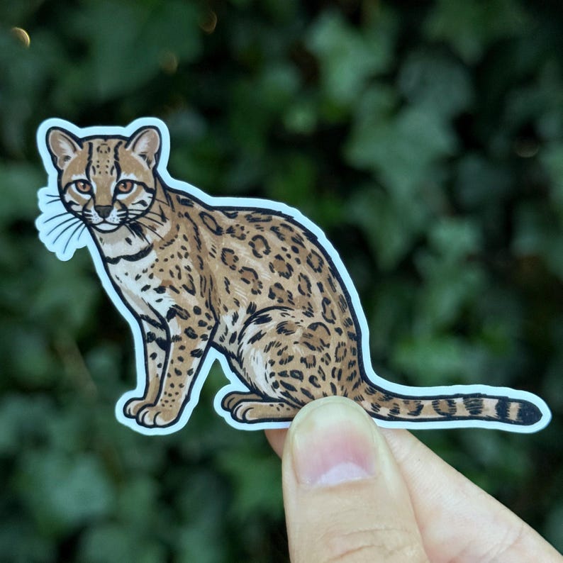May include: A die-cut sticker featuring a detailed illustration of an ocelot. The wild cat has a tan coat with dark brown spots and stripes, white facial markings, and amber eyes. The sticker has a thin white border and a smooth matte finish.