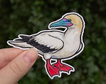 Red-footed Booby Sticker - Sula sula - Tropical Seabird Art - Nature Decal - Birdwatcher Gift - 3 Inch Waterproof Vinyl